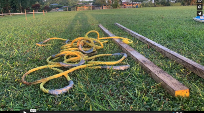 Costa Rica Alcance Elite